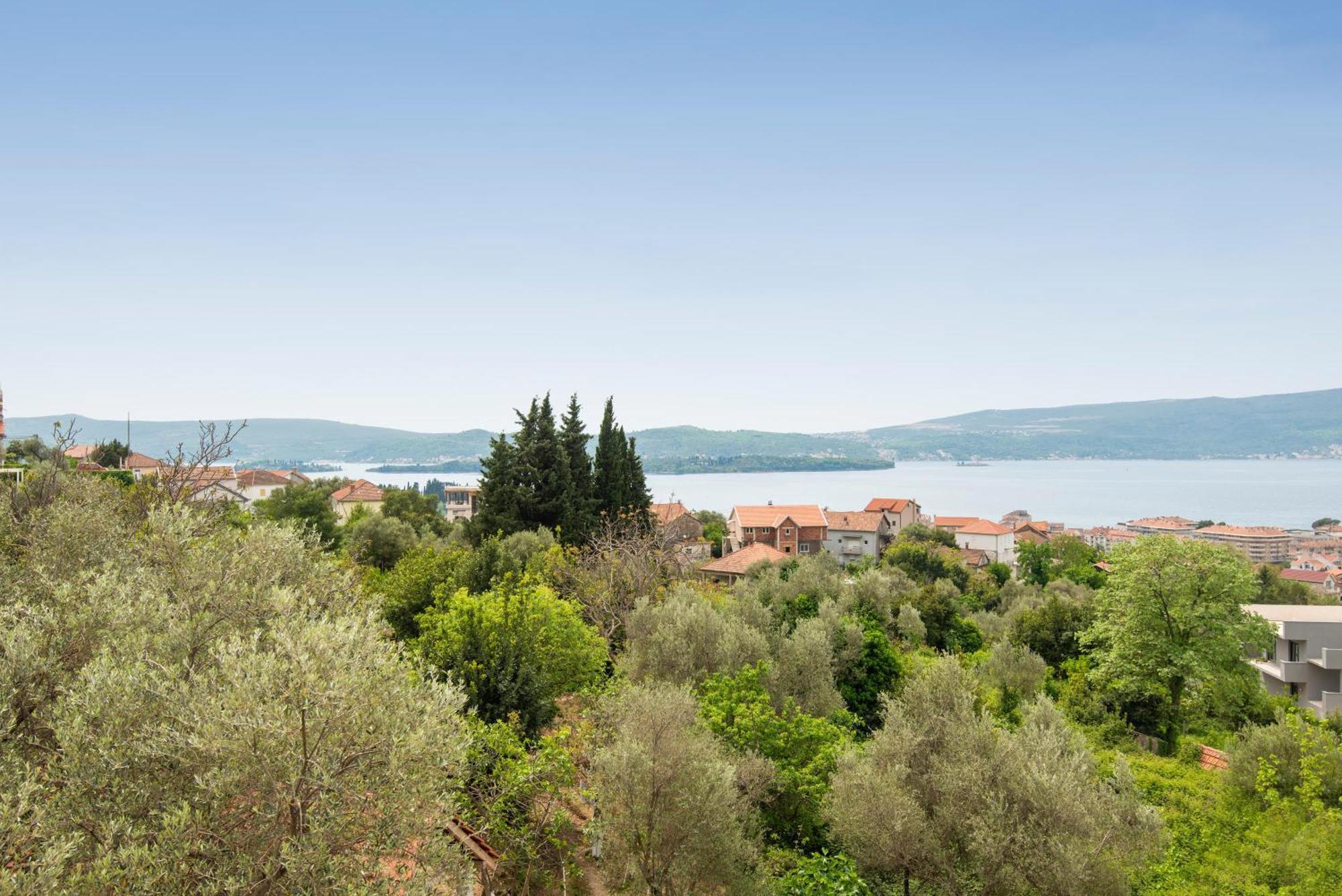 Hillside Vista